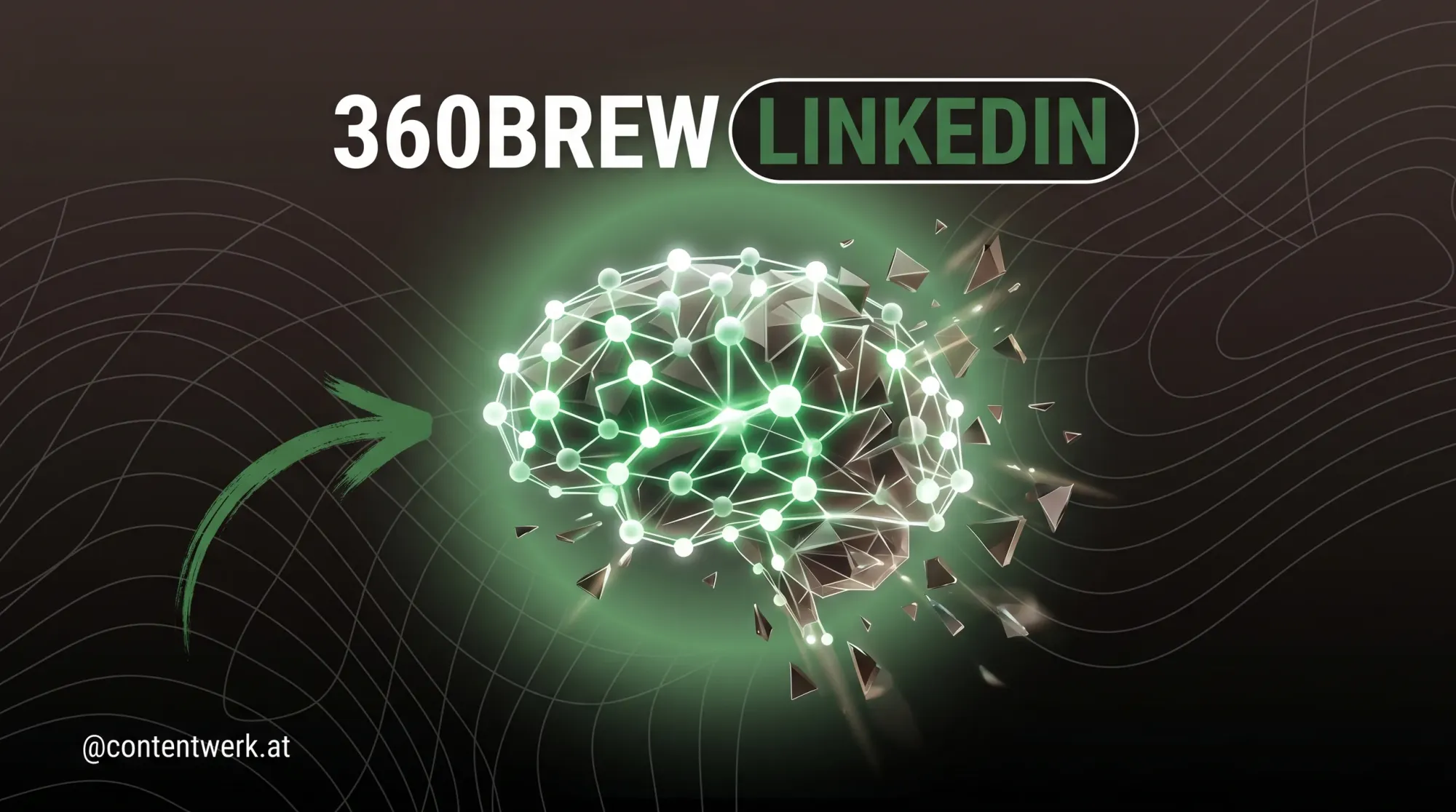 Dunkles Cover mit gruenen Akzenten zum LinkedIn 360Brew Algorithmus-Update fuer Solopreneurs